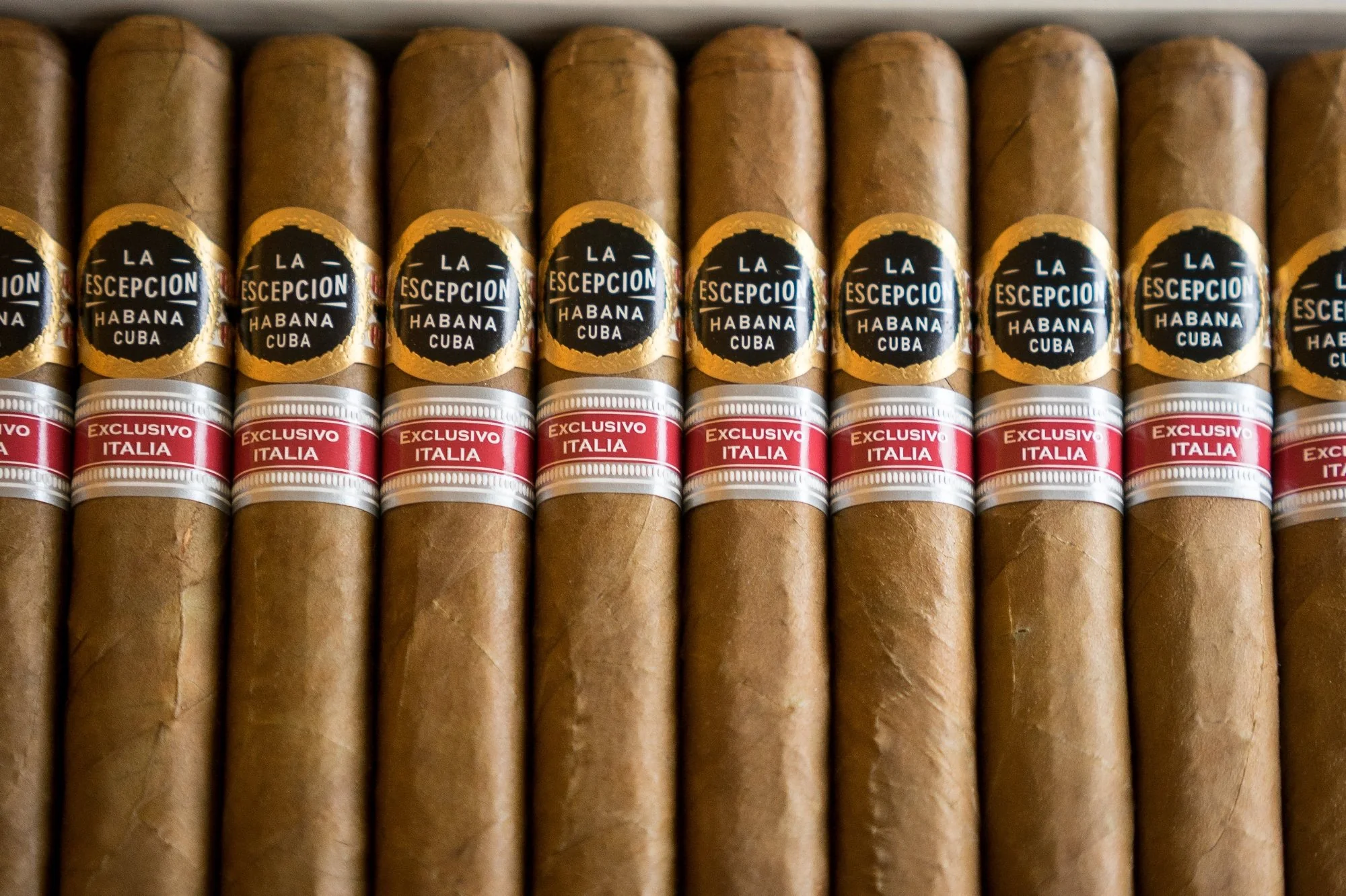 La Escepción Don José Cigar (Ex. Italia 2015) - Image 2