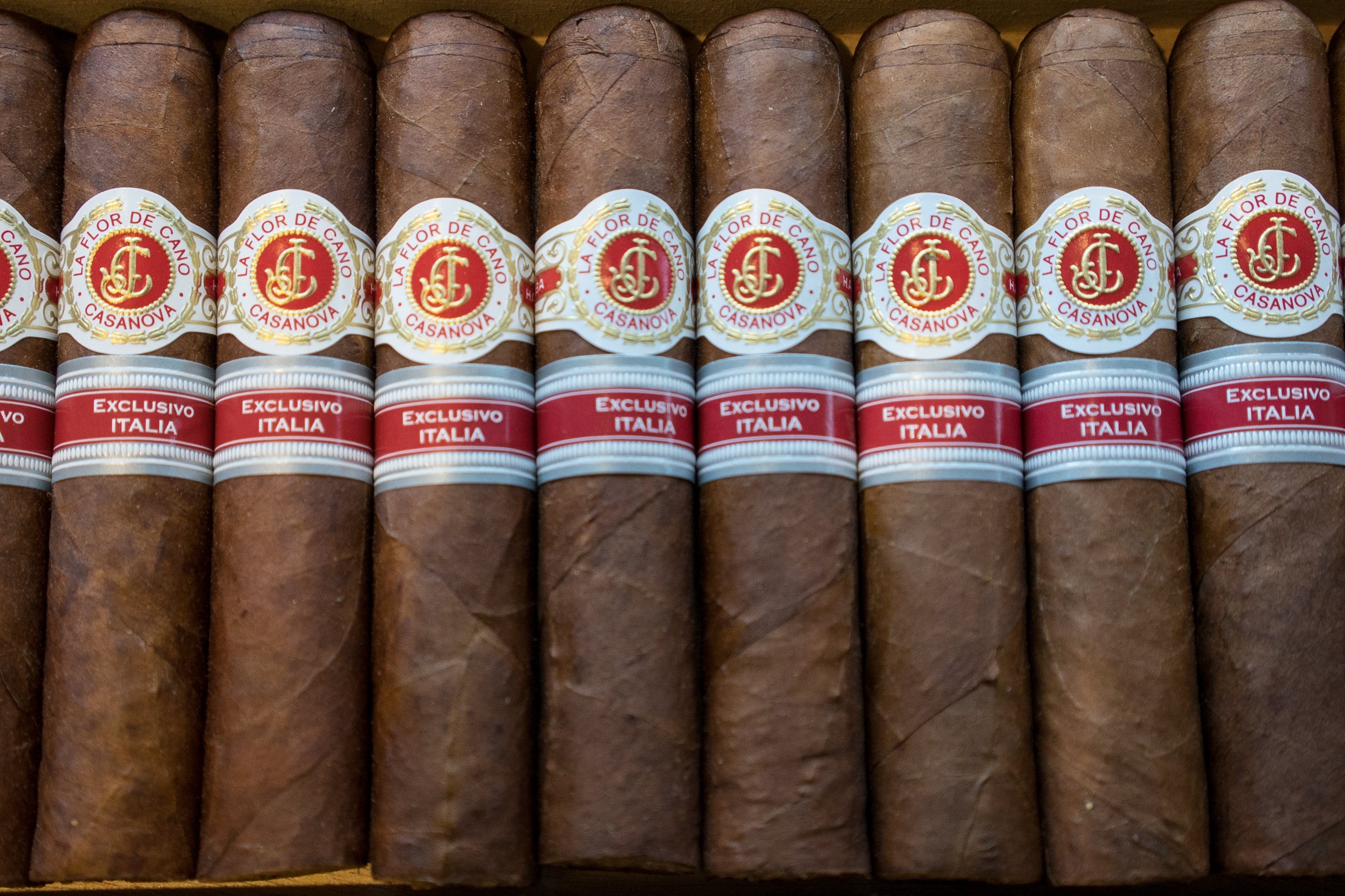 La Flor de Cano Casanova Cigar (Ex. Italia 2016) - Image 3